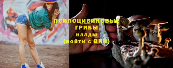 гидра Алексеевка