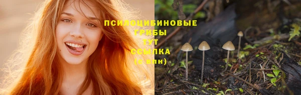 сатива Алзамай