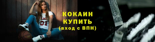 гашик Новодвинск