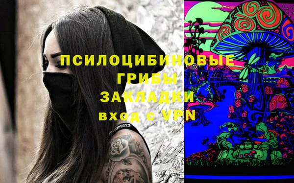 гидра Алексеевка