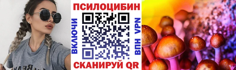 наркотики  Хвалынск  Псилоцибиновые грибы Psilocybe 